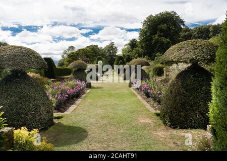 Das Haus und die Gärten im Hinton Ampner des National Trust in hampshire Stockfoto