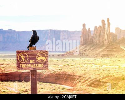 Nahaufnahme von No Trespassing Schild und einer Krähe in Monument Valley, Utah in den USA Stockfoto