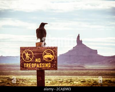 Nahaufnahme von No Trespassing Schild und einer Krähe in Monument Valley, Utah in den USA Stockfoto