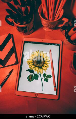 High-Angle-Aufnahme einer Sonnenblume auf dem Bildschirm von Ein Tablet Stockfoto