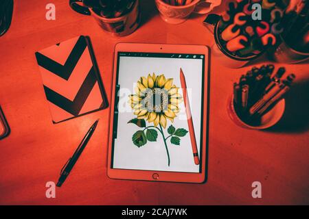 High-Angle-Aufnahme einer Sonnenblume auf dem Bildschirm von Ein Tablet Stockfoto