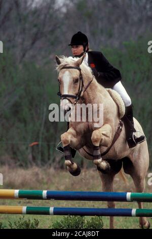 Eine Reiterin springt beim nationalen Fünfkampf in San Antonio, Texas, über Bars. ©Bob Daemmrich Stockfoto