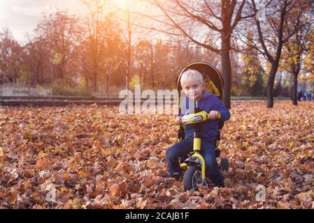 Blonde junge auf einem gelben Dreirad. Herbstpark. Gelbes Laub, sonniger Tag Stockfoto