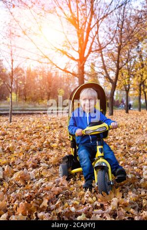 Blonde junge auf einem gelben Dreirad. Herbstpark. Gelbes Laub, sonniger Tag Stockfoto