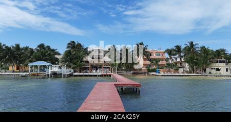 Bunte Häuser und Palmen auf Caye Caulker Island, Belize. Stockfoto