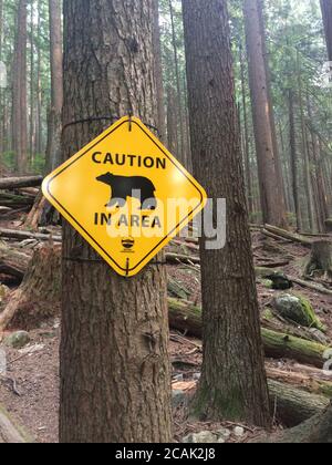 Bären in der Gegend Schild am Grouse Mountain Wanderweg. North Vancouver, British Columbia / Kanada. Stockfoto