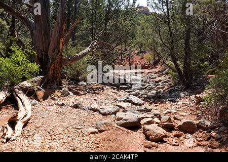 Die Erkundung der verschiedenen Wanderwege und Nebenstraßen rund um Sedona Arizona kann zu einigen erstaunlichen Aussichten und unglaublichen Felsformationen führen. Stockfoto