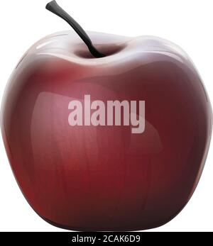 Shiny Red Apple Realistisch Isoliert Vektor Illustration Stock Vektor