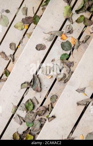 Herbstlaub, Herbst, Saisonkonzept.gefallene trockene verwelkte Blätter liegen auf hellen Holztreppen, Draufsicht. Holztreppe mit bunt gefallenen Blättern, schließen Stockfoto