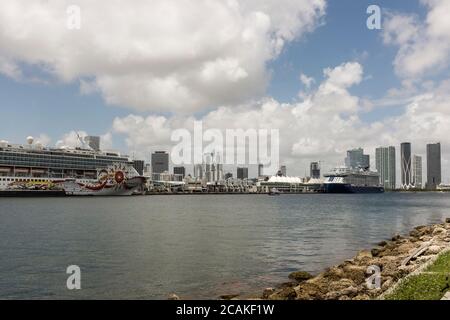 Ein norwegisches Kreuzfahrtschiff und ein Celebrity Cruises-Schiff, die in PortMiami, der Cruise Capital of the World, mit der Skyline im Hintergrund, in Miami, Florida, USA, festgemacht sind Stockfoto