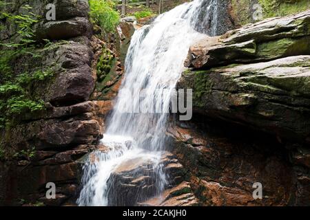 Wasserfall auf dem Flume Trail, Lincoln, New Hampshire Stockfoto