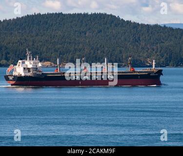 Massengutfrachter befahren die Gewässer des Golfs von Georgia, British Columbia, Kanada Stockfoto