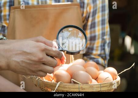 Junge intelligente Farmer tragen karierte Langarm Hemd braun Schürze halten frische Hühnereier in den Korb, und ein Mann mit einer Lupe Untersuchung th Stockfoto