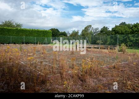 Stillgelegte Tennisplatz in schlechtem Zustand Stockfoto