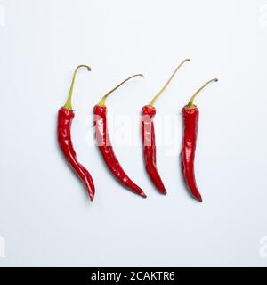 Rote scharfe Chilischoten auf blauem Hintergrund. Flach liegend, Draufsicht Stockfoto