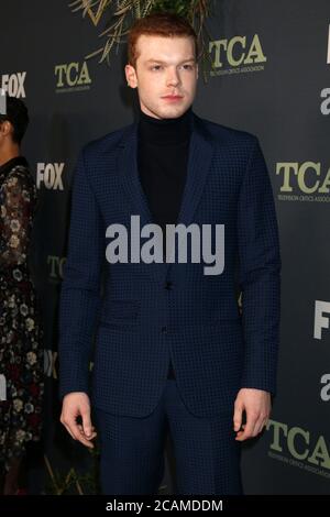 LOS ANGELES - 1. FEBRUAR: Cameron Monaghan bei der FOX TCA All-Star Party im Fig House am 1. Februar 2019 in Los Angeles, CA Stockfoto