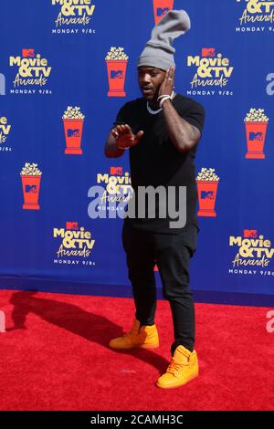 LOS ANGELES - JUN 15: Ray J Norwood bei den MTV Movie & TV Awards 2019 im Barker Hanger am 15. Juni 2019 in Santa Monica, CA Stockfoto