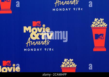 LOS ANGELES - JUN 15: Atmosphäre bei den MTV Movie & TV Awards 2019 im Barker Hanger am 15. Juni 2019 in Santa Monica, CA Stockfoto