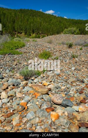 Dredge Tailings, Sumpter Valley Dredge State Heritage Area, Oregon Stockfoto