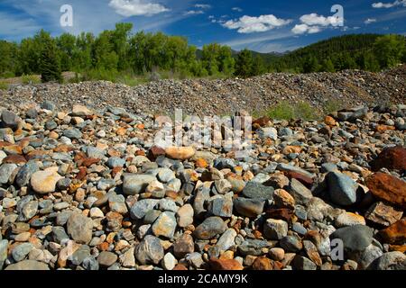 Dredge Tailings, Sumpter Valley Dredge State Heritage Area, Oregon Stockfoto