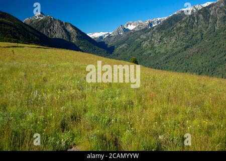 Bonneville Mountain vom East Moraine Trail, Wallowa County, Hells Canyon National Scenic Byway, Oregon Stockfoto