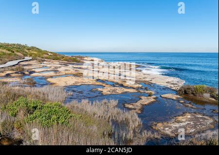 Wunderschöner Wasserpuddle auf natürlichem Sandsteinboden bei Henry Head Laufstrecke Stockfoto