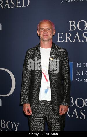 LOS ANGELES - OCT 29: Floh bei der 'Boy Erased' Premiere im Directors Guild of America Theater am 29. Oktober 2018 in Los Angeles, CA Stockfoto