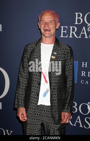 LOS ANGELES - OCT 29: Floh bei der 'Boy Erased' Premiere im Directors Guild of America Theater am 29. Oktober 2018 in Los Angeles, CA Stockfoto