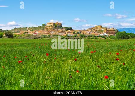 Die mittelalterliche Stadt Sesa in Aragon, Spanien Stockfoto