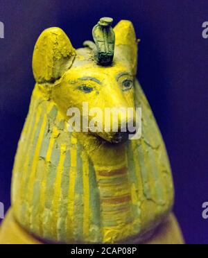 Ägypten, Kairo, Ägyptisches Museum, gefunden in der königlichen Nekropole von Tanis, 1 der 4 Leinwandvasen des Königs Psusennes. Der Stecker ist ein Schakalkopf. Stockfoto