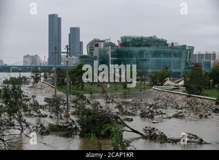 Seoul, Südkorea. August 2020. Das Foto vom 8. August 2020 zeigt das überflutete Sebitseom, einen berühmten Touristenort am Han-Fluss in Seoul, Südkorea. Südkoreas Todesrate durch heftigen Regen, der seit letztem Samstag andauerte, stieg auf 21, mit 11 Vermissten und sieben Verletzten am Samstag um 6 Uhr Ortszeit, laut dem Central Disaster and Safety Countermeasure Headquarters. Der sintflutartige Regen verbreitete sich von der zentralen Region des Landes, einschließlich Seoul und der umliegenden Metropolregion, bis in die südliche Region am Freitag. Quelle: Wang Jingqiang/Xinhua/Alamy Live News Stockfoto