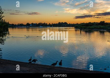Der See bei Fairlop Waters an einem sonnigen Abend Stockfoto