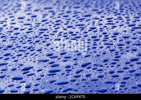 Wassertropfen auf einer hochglanzpolierten blauen Motorhaube Stockfoto