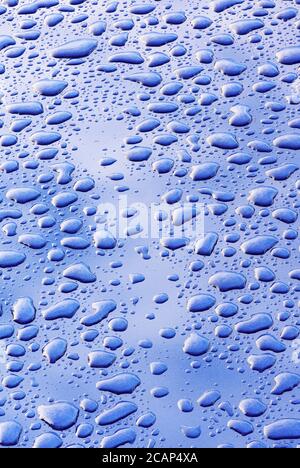 Wassertropfen auf einer hochglanzpolierten blauen Motorhaube Stockfoto