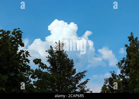 Landschaft, Bäume gegen den Wolkenhimmel. Foto aufgenommen in Tscheljabinsk, Russland. Stockfoto