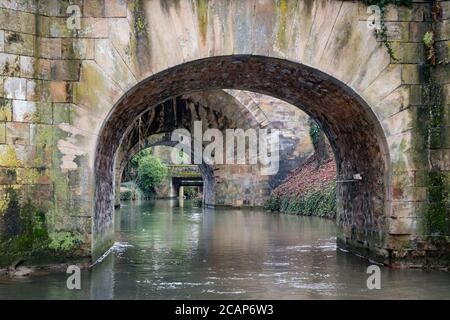 Die Kanäle von Chalons-en-Champagne, Frankreich Stockfoto