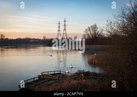 Hooksmarsh Lake im Lee Valley Country Park, Cheshunt, Hertfordshire Stockfoto