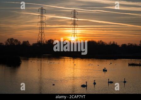 Hooksmarsh Lake im Lee Valley Country Park, Cheshunt, Hertfordshire Stockfoto