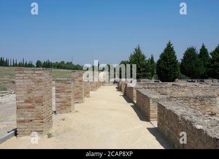 Spanien, Andalusien, Provinz Sevilla, Santiponce. Italica. Römische Stadt gegründet 206 v. Chr. durch den römischen General Publis Cornelius Scipio. Ruinen der archäologischen Stätte. Amphitheater. Stockfoto