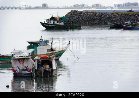 Pelikane auf Fischerbooten in der Nähe der Docks und Markt in Panama City, Panama, Mittelamerika Stockfoto