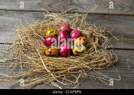 . Bemalte ostereier in einem provisorischen Strohnest auf einem Holzhintergrund Stockfoto