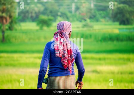 Bangladeschischer Bauer steht auf einem Feld und schaut in die Entfernung Stockfoto