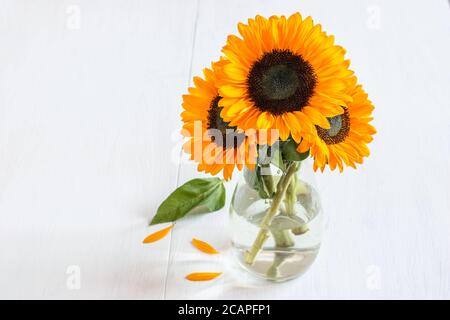 Sonnenblumenstrauß in der transparenten Glasvase auf dem weißen Holztisch. NGrußkarte Design, Platz für Ihren Text. Stockfoto