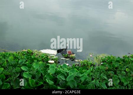 Müll am Fluss-Ufer Stockfoto