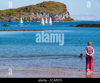 North Berwick, East Lothian, Schottland, 8. August 2020. UK Wetter: Perfekter Tag für Wassersport. Ein warmer, sonniger Tag im Firth of Forth zieht die Menschen an, um das Wasser zu nehmen. Segeljollen im Wasser als East Lothian Yacht Club ein Clubrennen veranstaltet und eine ältere Frau vom Strand aus zuschaut Stockfoto