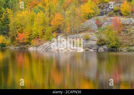 Herbstreflexionen in Elbow Lake, Wanup, Ontario, Kanada Stockfoto