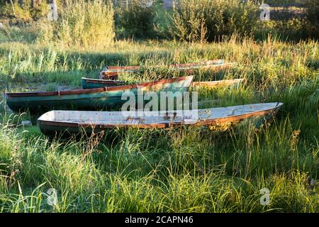 Alte Holzboote auf einem überwuchertem Ufer mit Gras Stockfoto