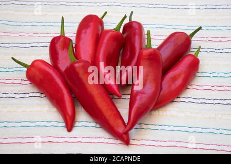 Rote Paprika auf gemusterter Tischdecke. Stockfoto