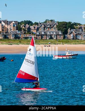 North Berwick, East Lothian, Schottland, 8. August 2020. UK Wetter: Perfekter Tag für Wassersport. Ein warmer, sonniger Tag im Firth of Forth zieht die Menschen an, um das Wasser zu nehmen. East Lothian Yacht Club hält ein Vereinsrennen ab, als ein Junge, der ein Topper-Segelboot segelt, von West Bay aus auffährt Stockfoto