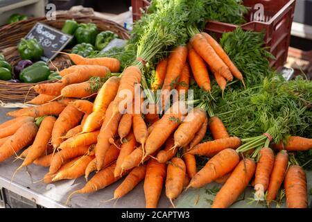 Stapel Karotte auf dem Marktplatz, neu reif Stockfoto